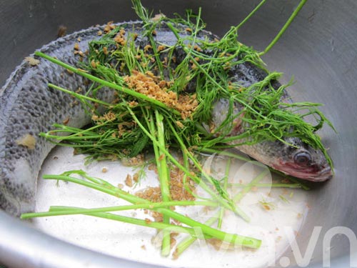 Snakehead fish porridge